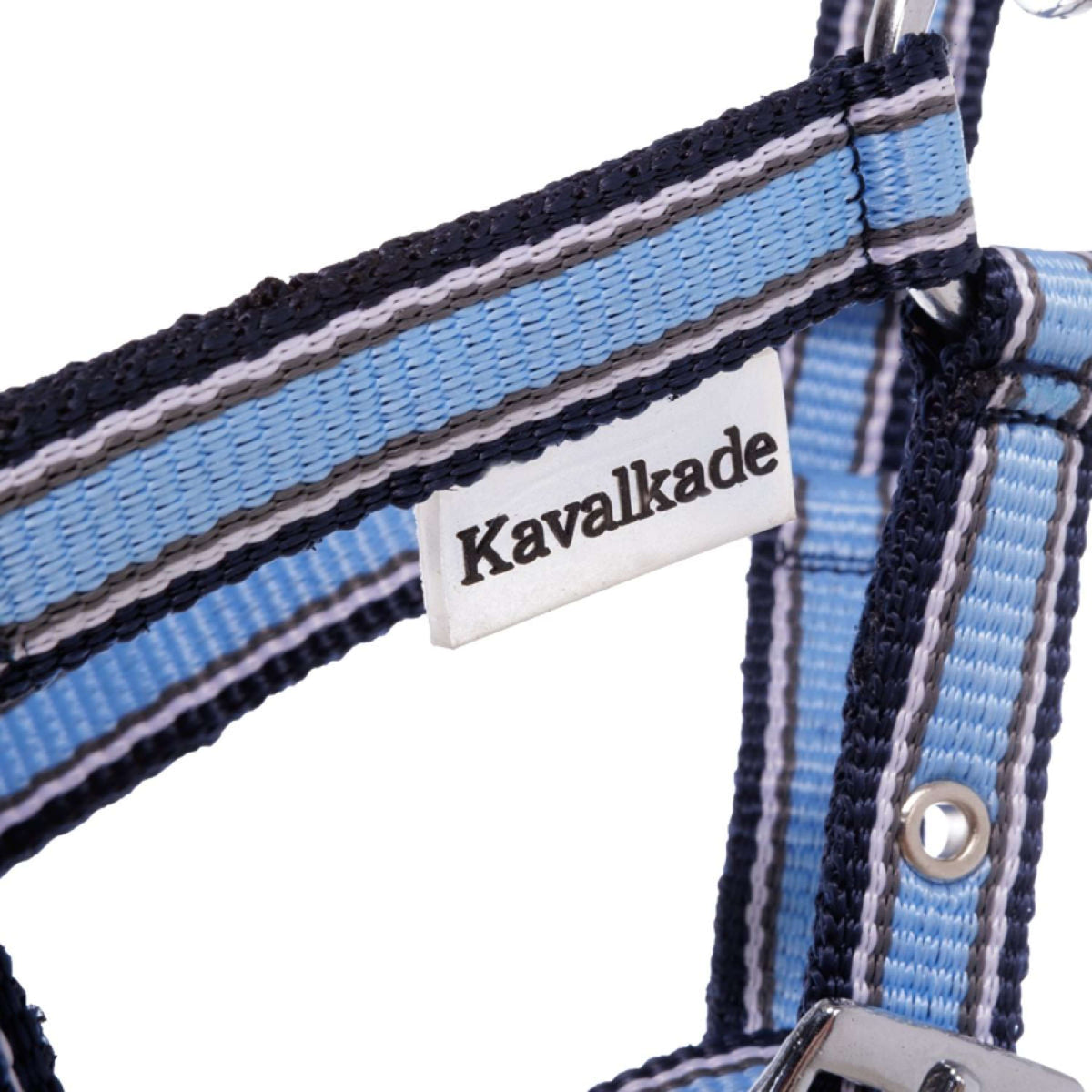 Kavalkade Licol Foal/Yearling Bleu clair/bleu marine/blanc