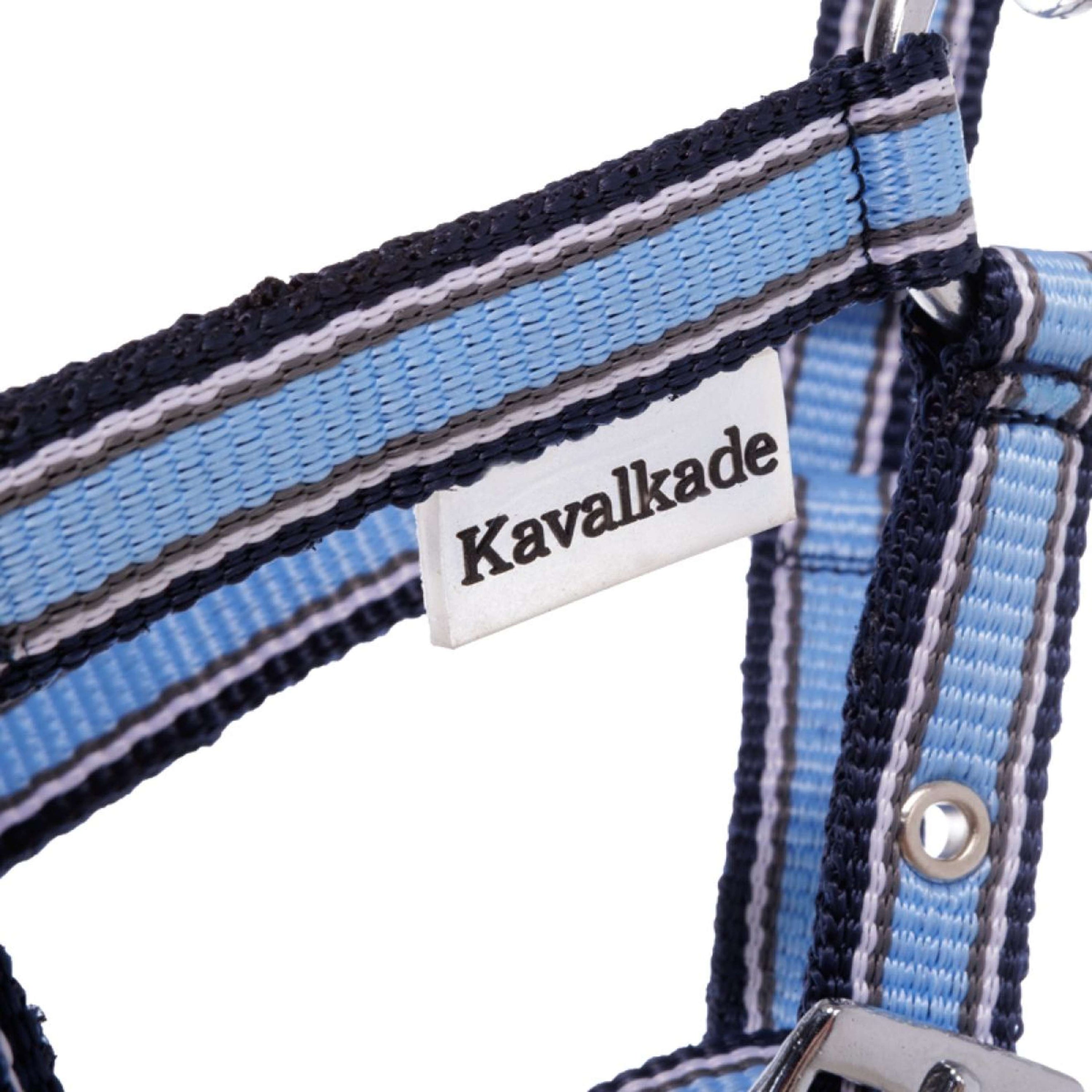 Kavalkade Licol Foal/Yearling Bleu clair/bleu marine/blanc