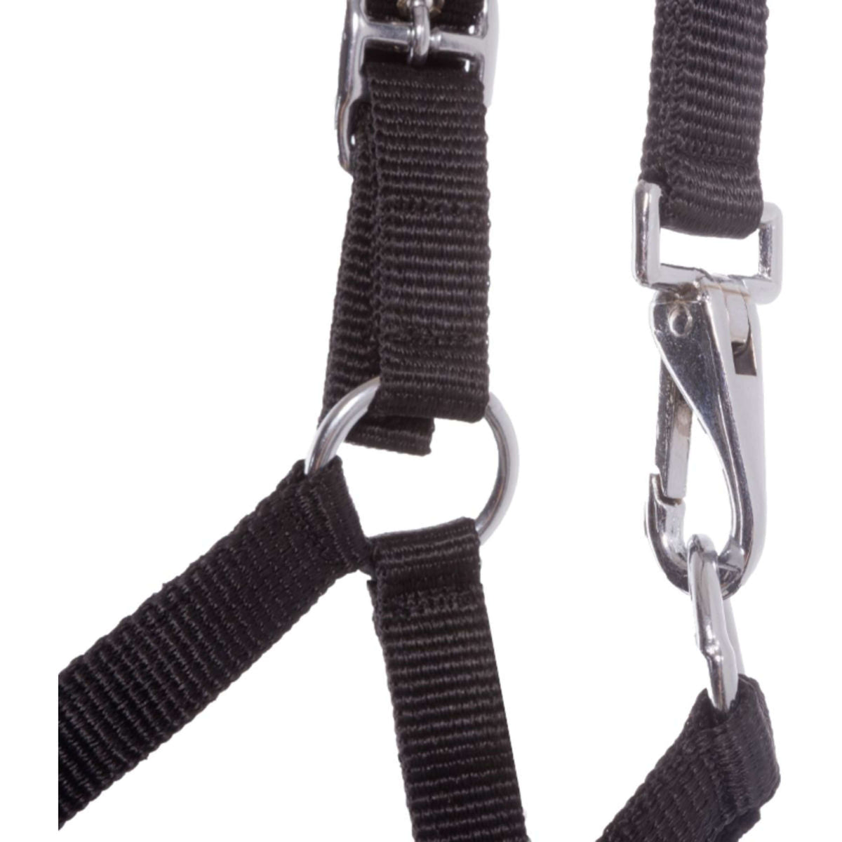 Kavalkade Licol Poulain et Yearling Bleu