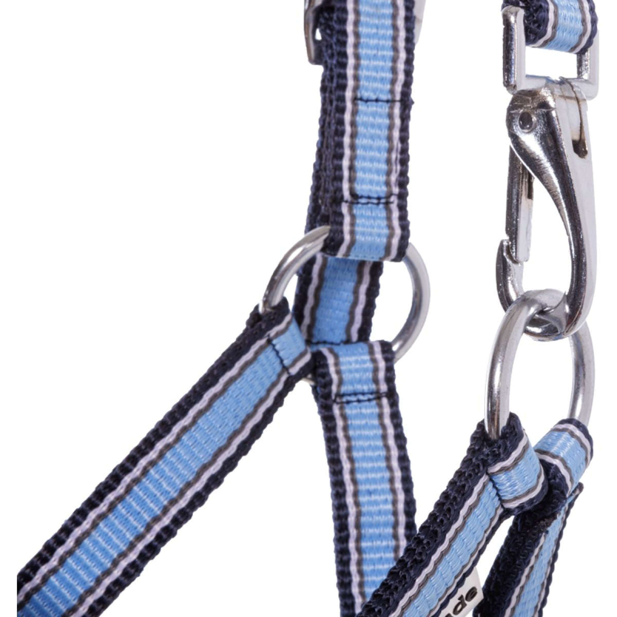 Kavalkade Licol Foal/Yearling Bleu clair/bleu marine/blanc