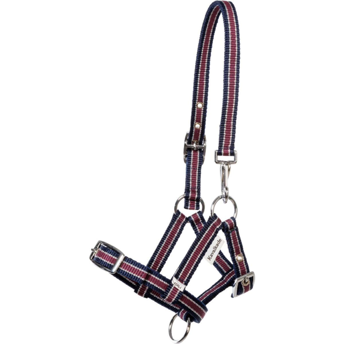 Kavalkade Licol Foal/Yearling Bleu marine/Bordeaux/Argent