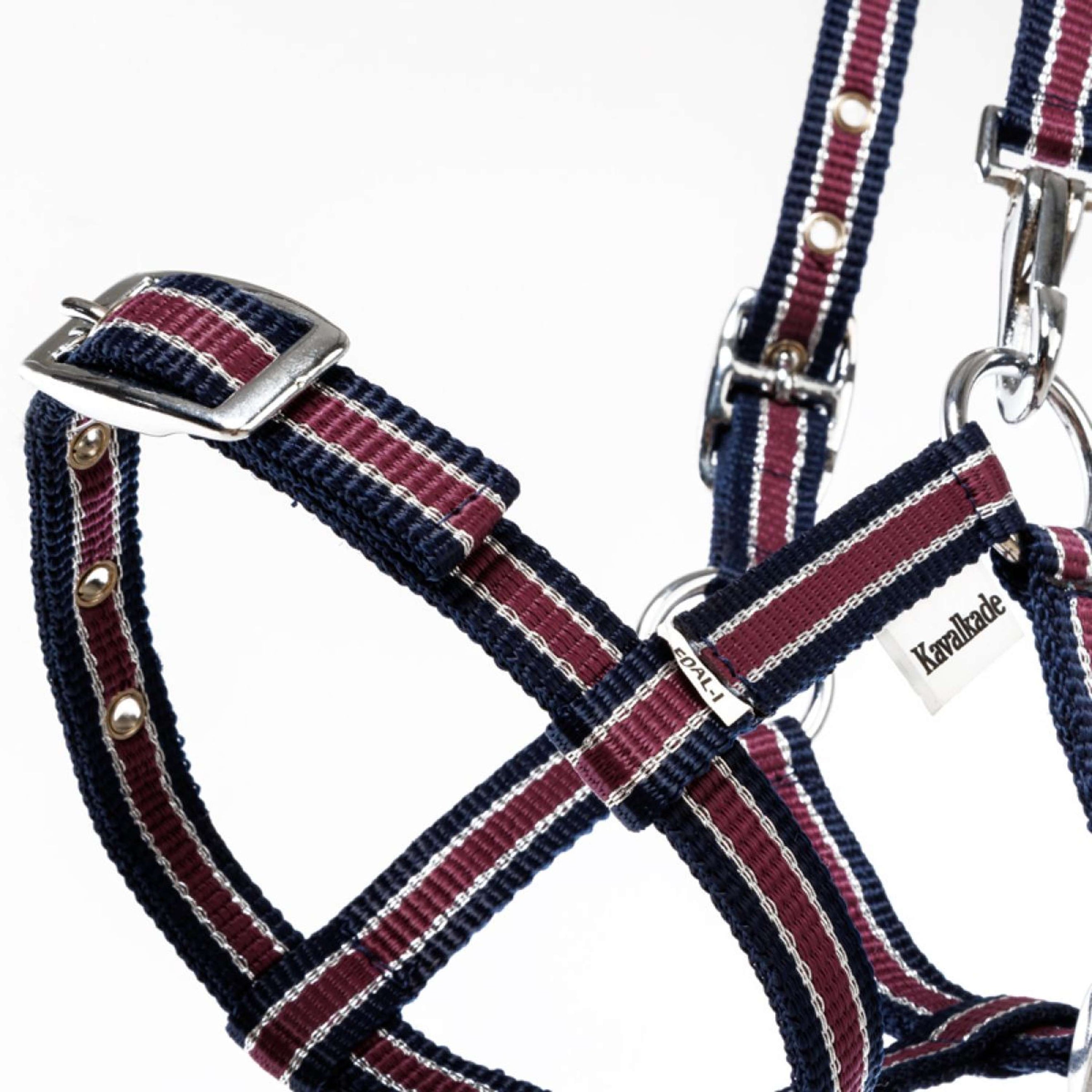 Kavalkade Licol Foal/Yearling Bleu marine/Bordeaux/Argent