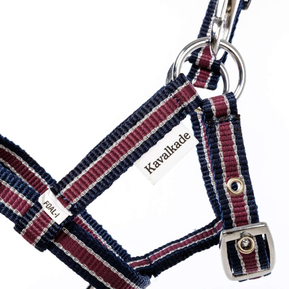 Kavalkade Licol Foal/Yearling Bleu marine/Bordeaux/Argent