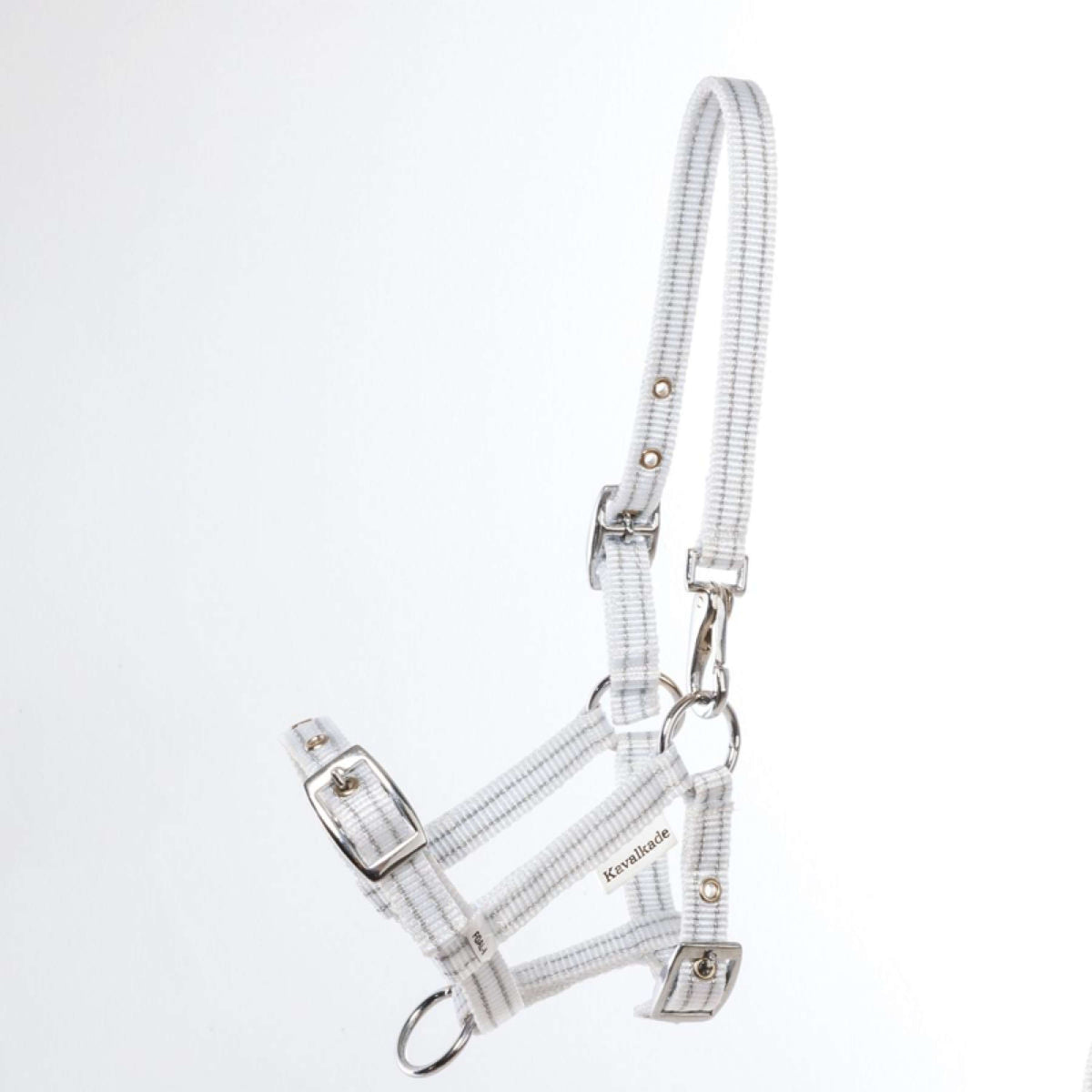 Kavalkade Licol Foal/Yearling Blanc/Argent