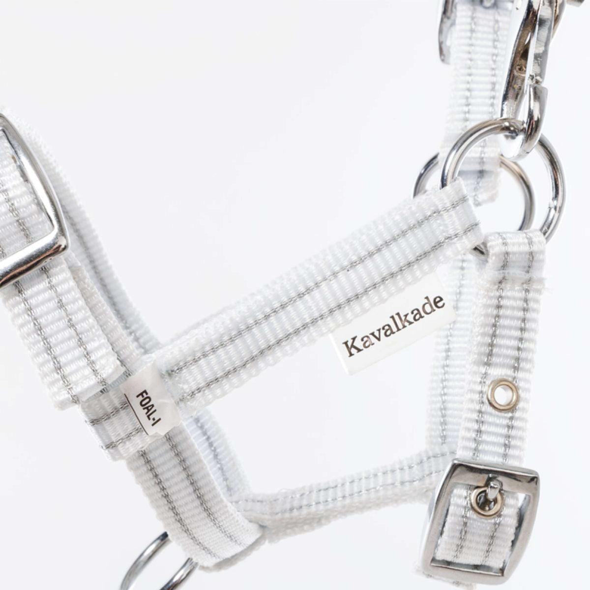 Kavalkade Licol Foal/Yearling Blanc/Argent