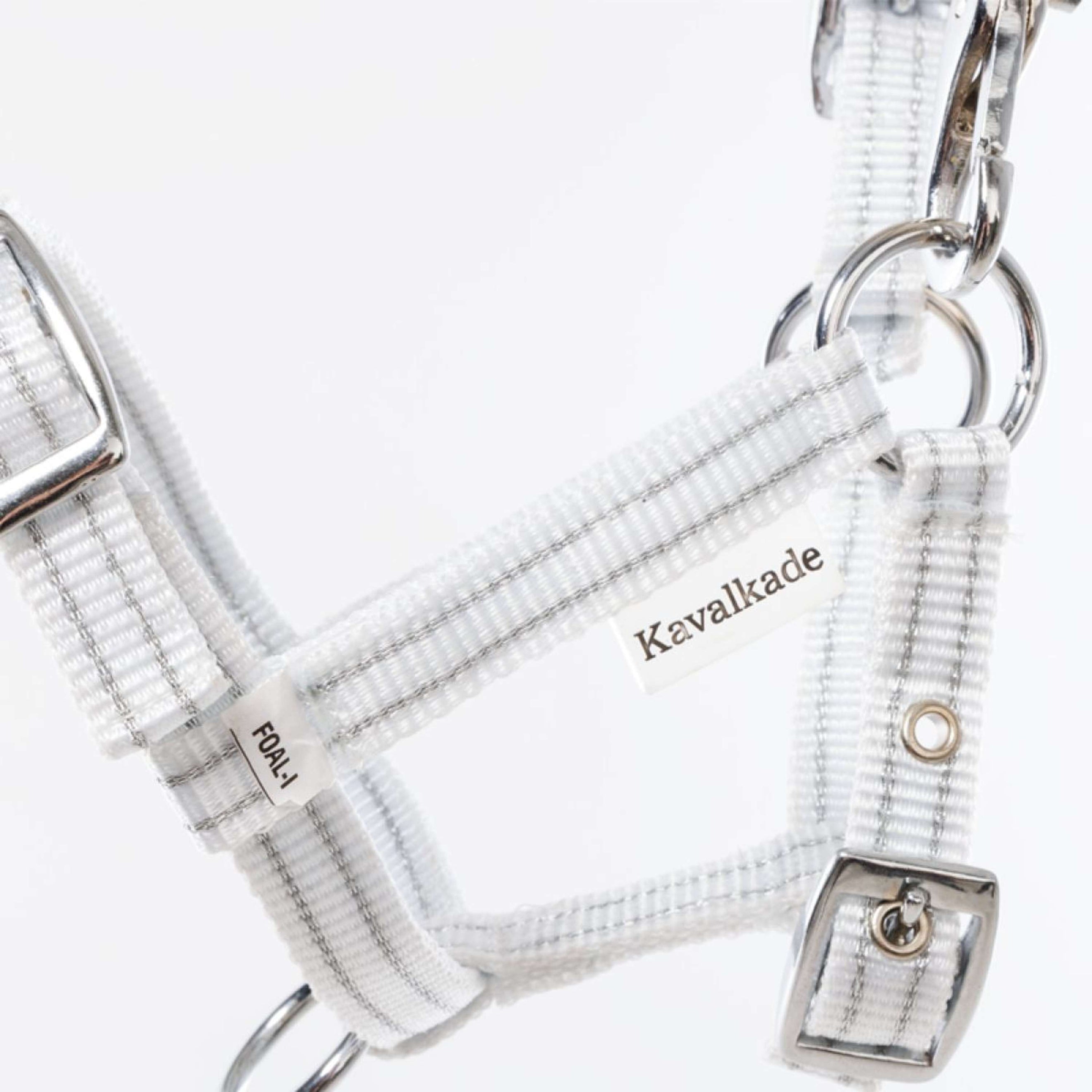 Kavalkade Licol Foal/Yearling Blanc/Argent