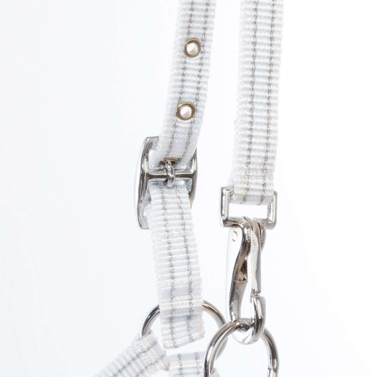 Kavalkade Licol Foal/Yearling Blanc/Argent