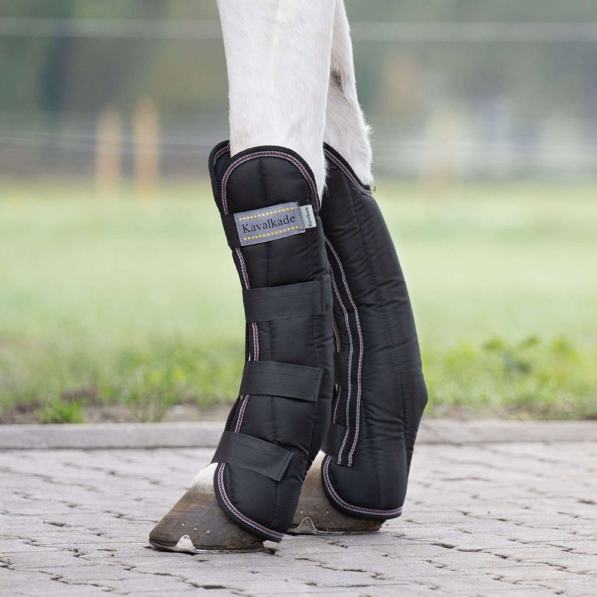 Kavalkade Guêtres de Transport Noir