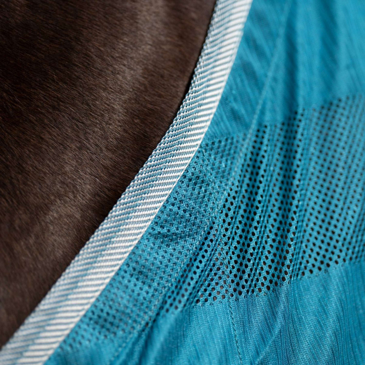 Kavalkade Couverture Anti-Mouches Stripe Petrol