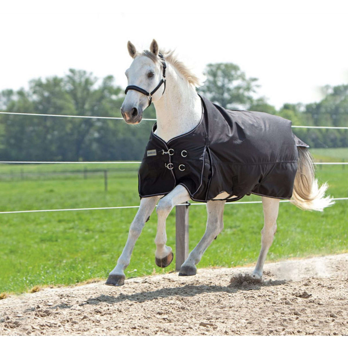 Kavalkade Couverture d'Extérieur Alaska IV 300g Noir