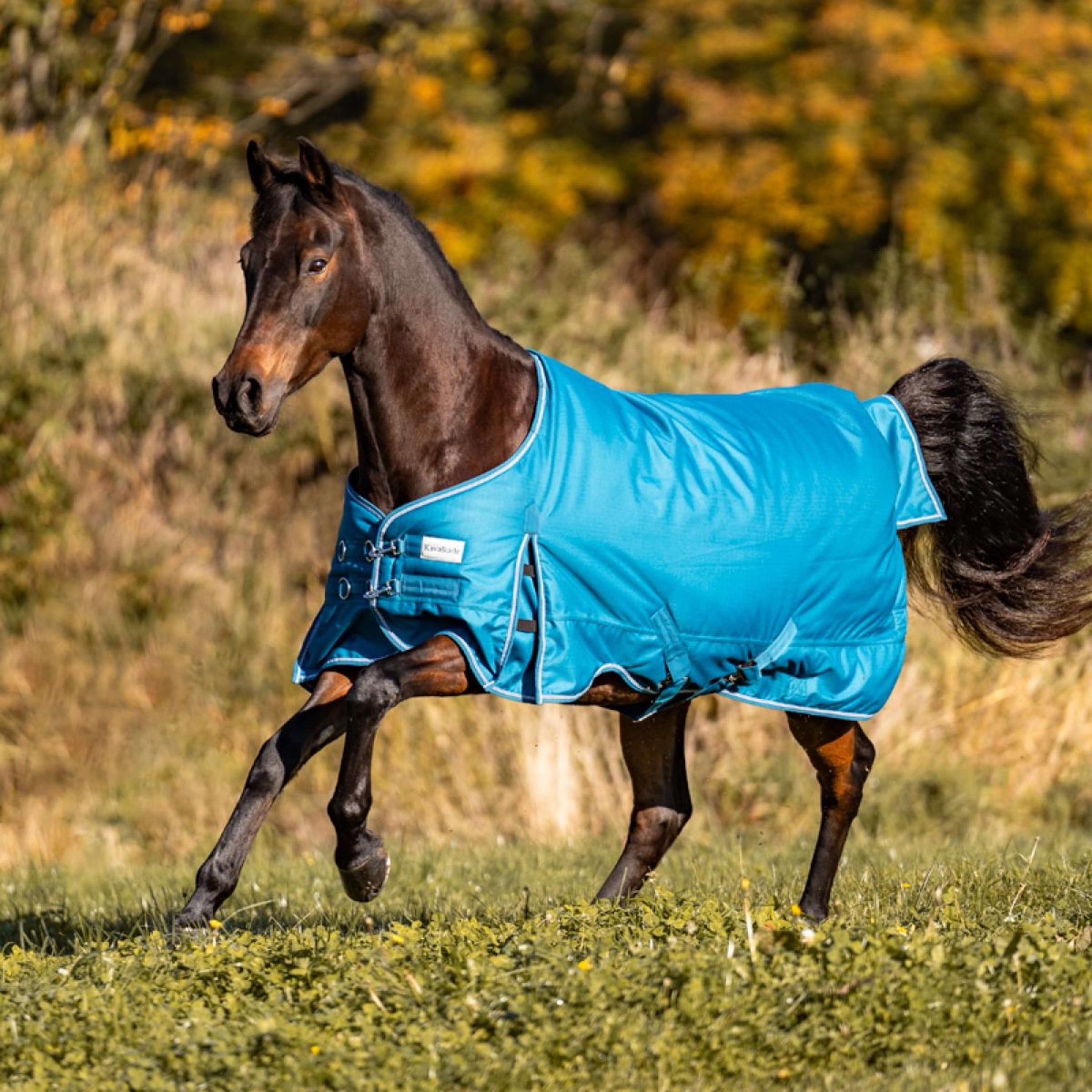 Kavalkade Couverture d'Extérieur Alaska IV 100g Essence/Essence/Bordeaux/Blanc Kavalkade Couverture d'Extérieur Alaska IV 100g Essence/Essence/Bordeaux/Blanc