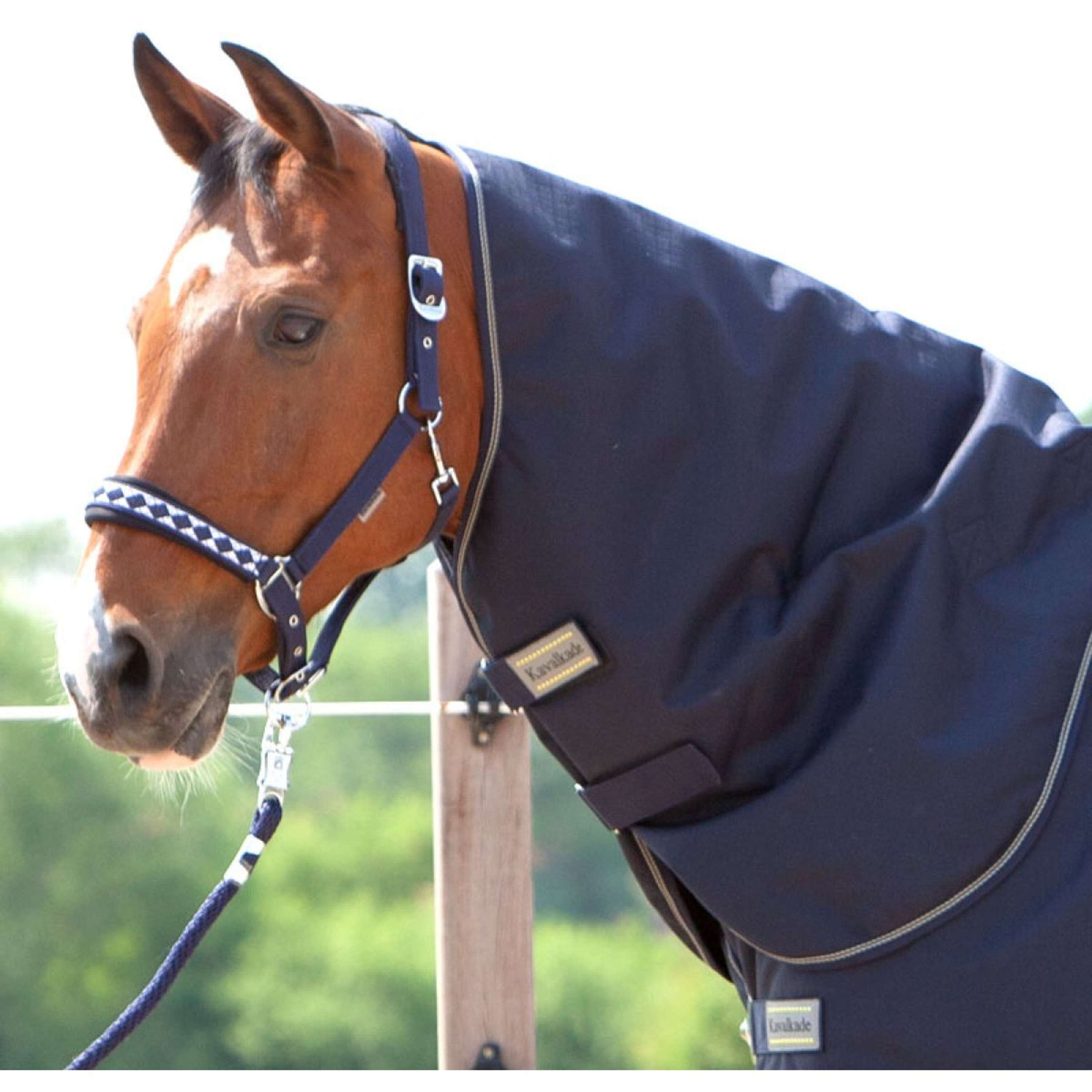 Kavalkade Couvre-Cou Montreal 100g Marin