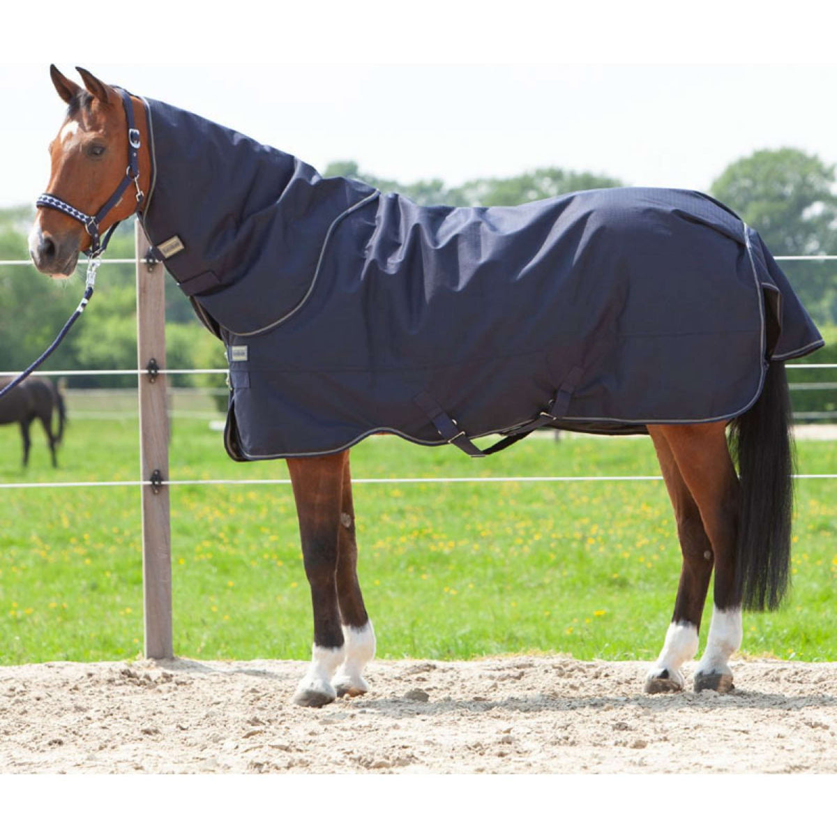 Kavalkade Couvre-Cou Montreal 100g Marin