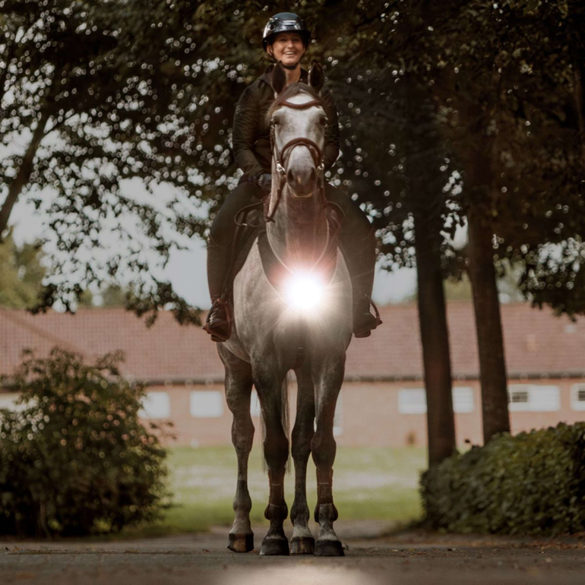 Kavalkade Cuirasse/selle Horselight Noir/Gris