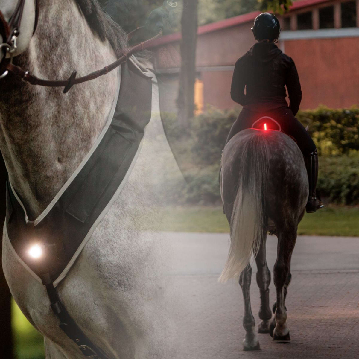 Kavalkade Cuirasse/selle Horselight Noir/Gris