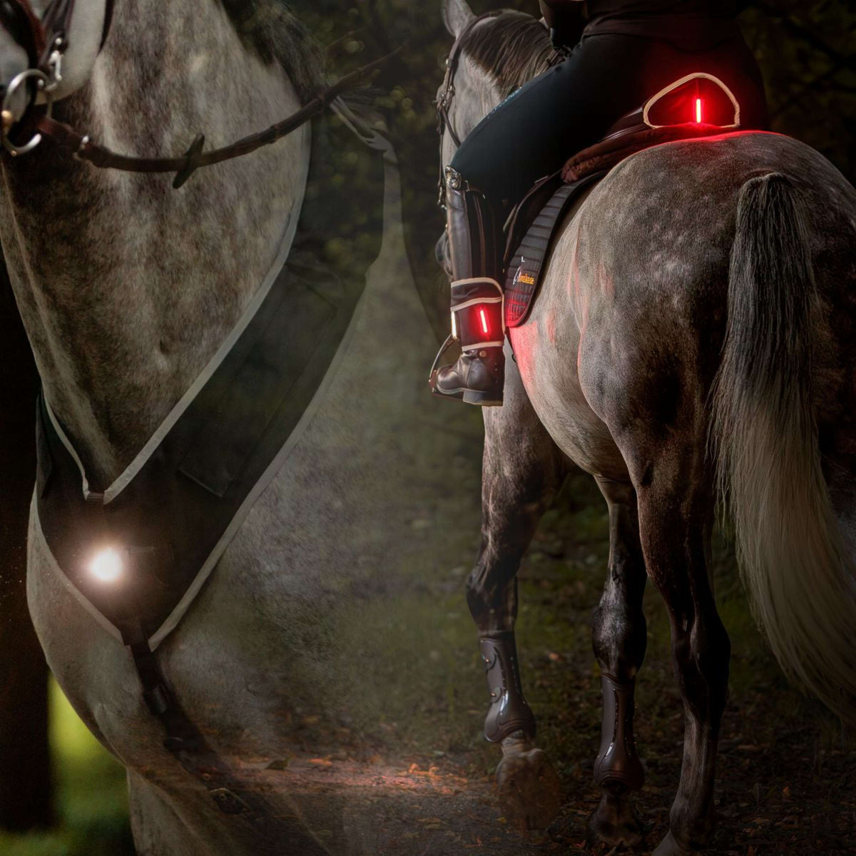 Kavalkade Plastron/Selle/Jambe Horselight Noir/Gris