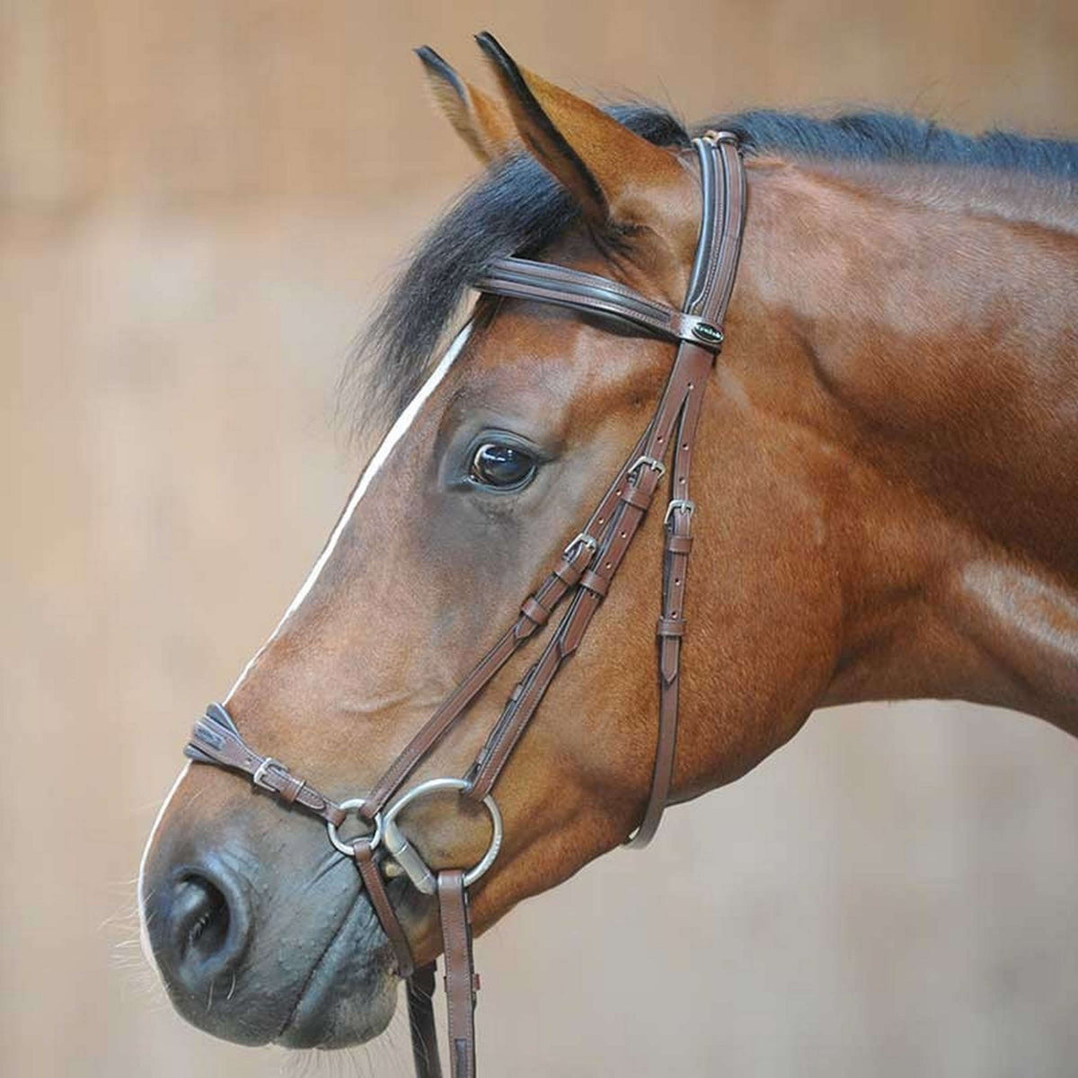 Kavalkade Bridle Levana Hannoveraan Marron