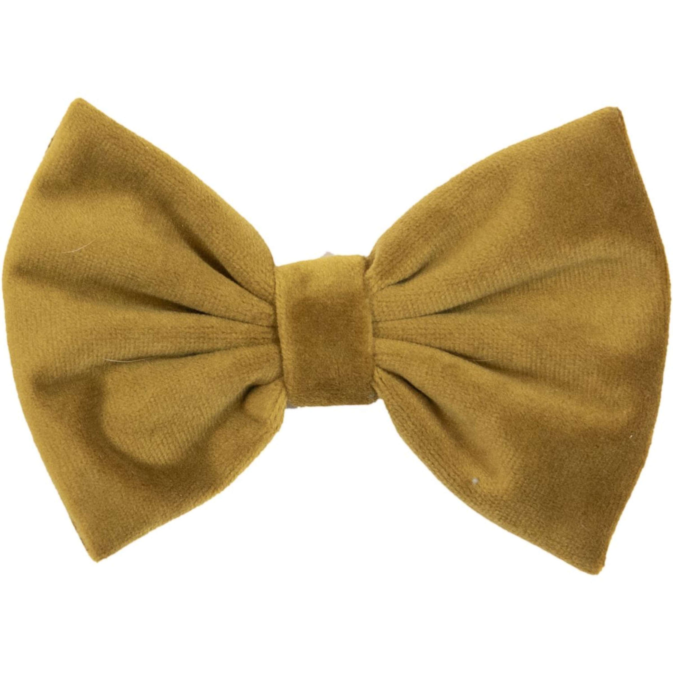 Kentucky Bow Tie velours Moutarde Kentucky Bow Tie velours Moutarde