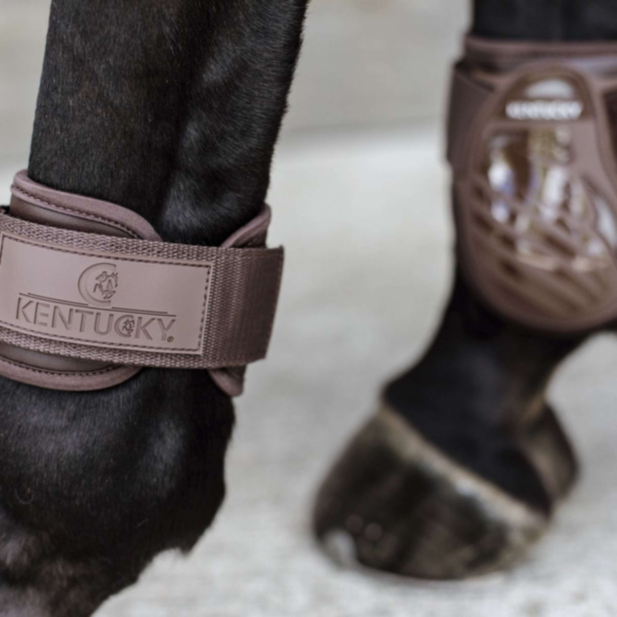 Kentucky Horsewear Protège-Boulets Young Horse Marron