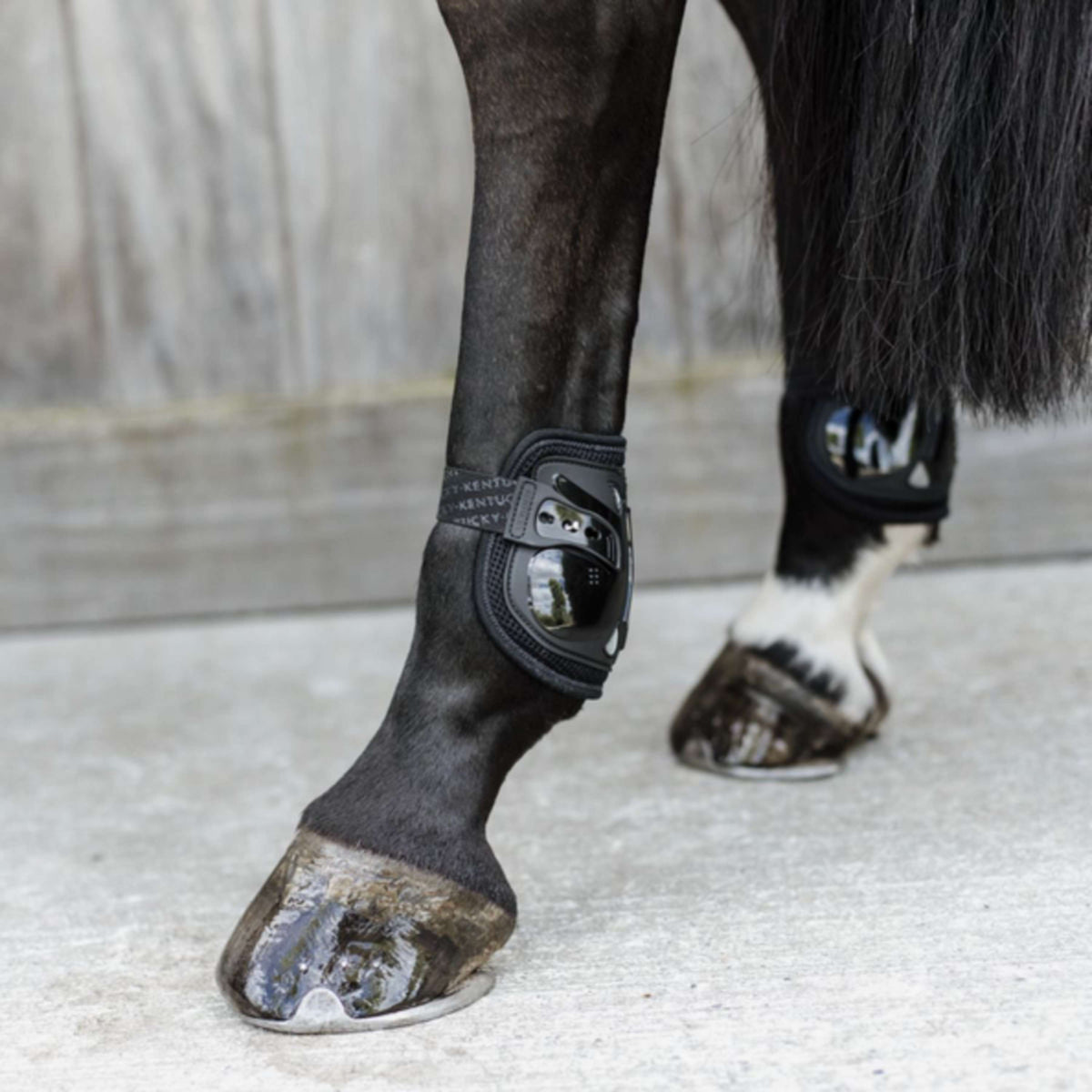 Kentucky Horsewear Protège-Boulets Moonboots Air Noir