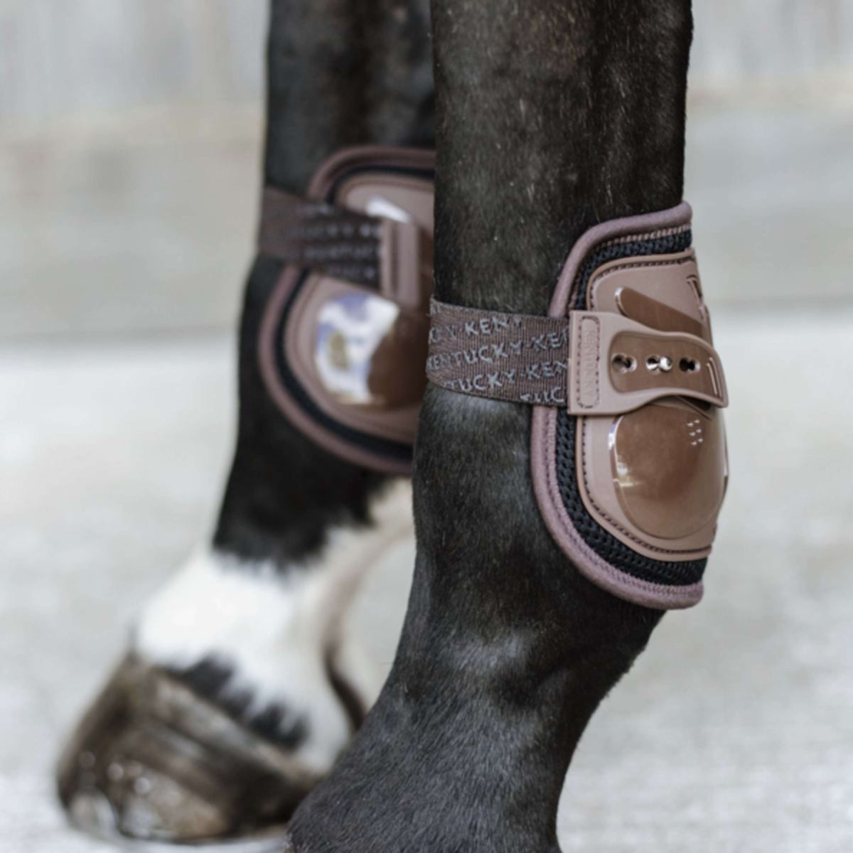 Kentucky Horsewear Protège-Boulets Moonboots Air Marron