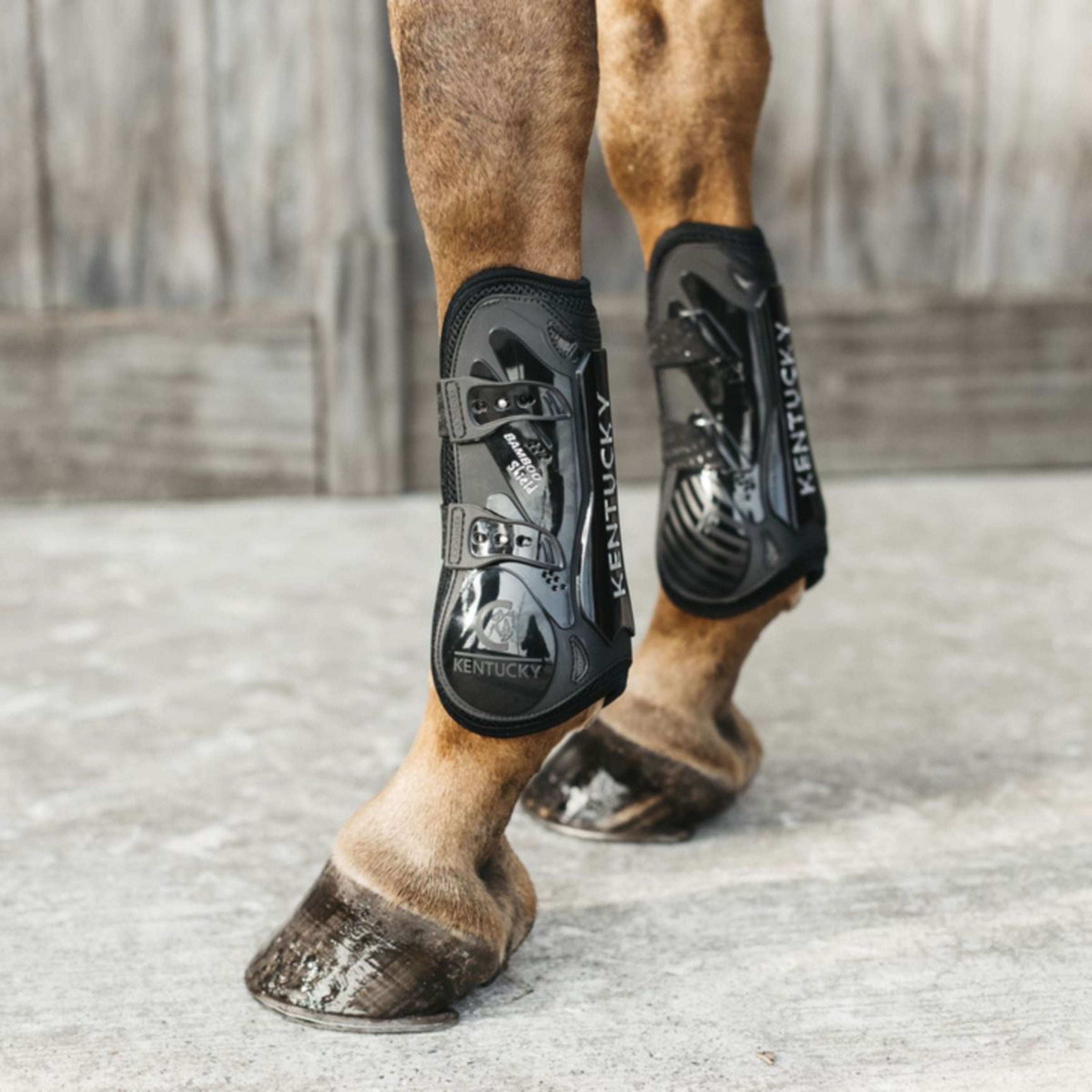 Kentucky Horsewear Protèges-Tendons Bamboo Elastic Noir
