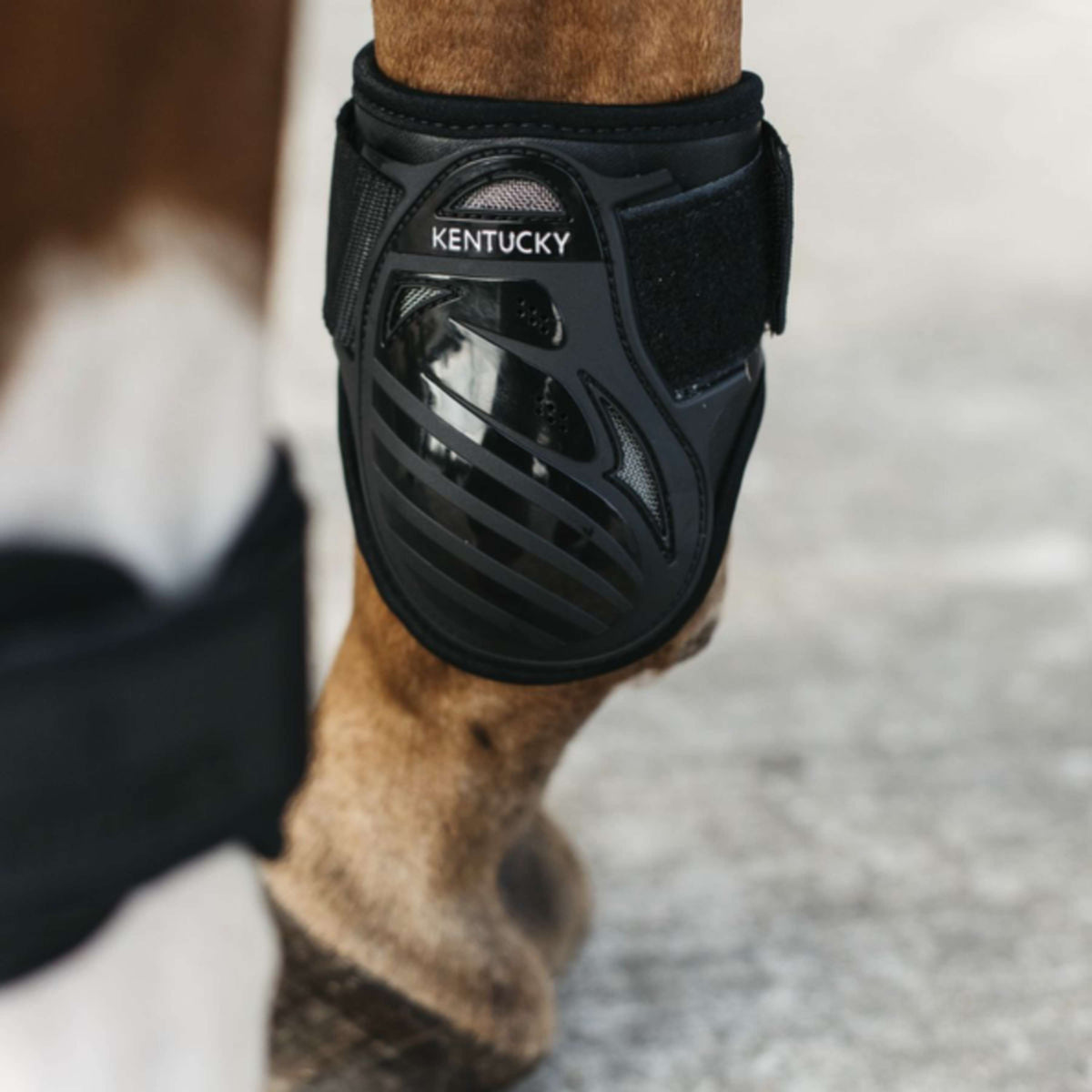 Kentucky Horsewear Protège-Boulets Young Horse Noir