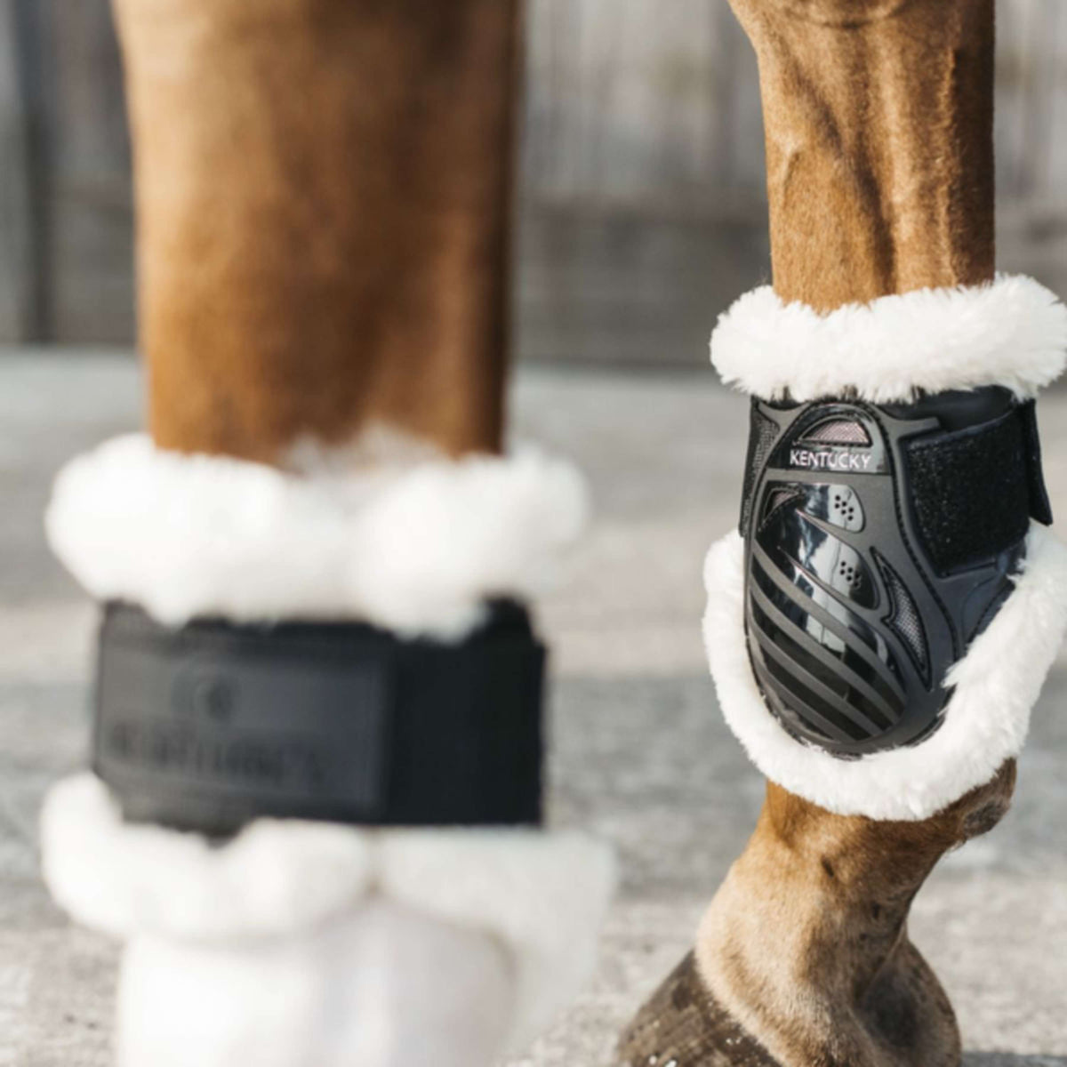 Kentucky Horsewear Protège-Boulets Young Horse Vegan Sheepskin Noir
