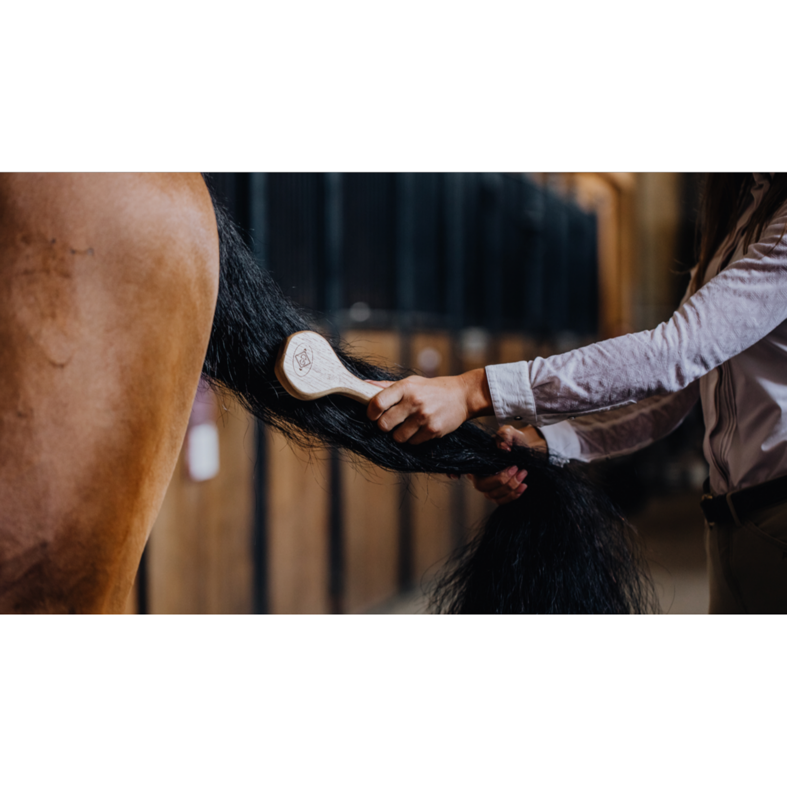 Kentucky Brosse à crin Kentucky Brosse à crin