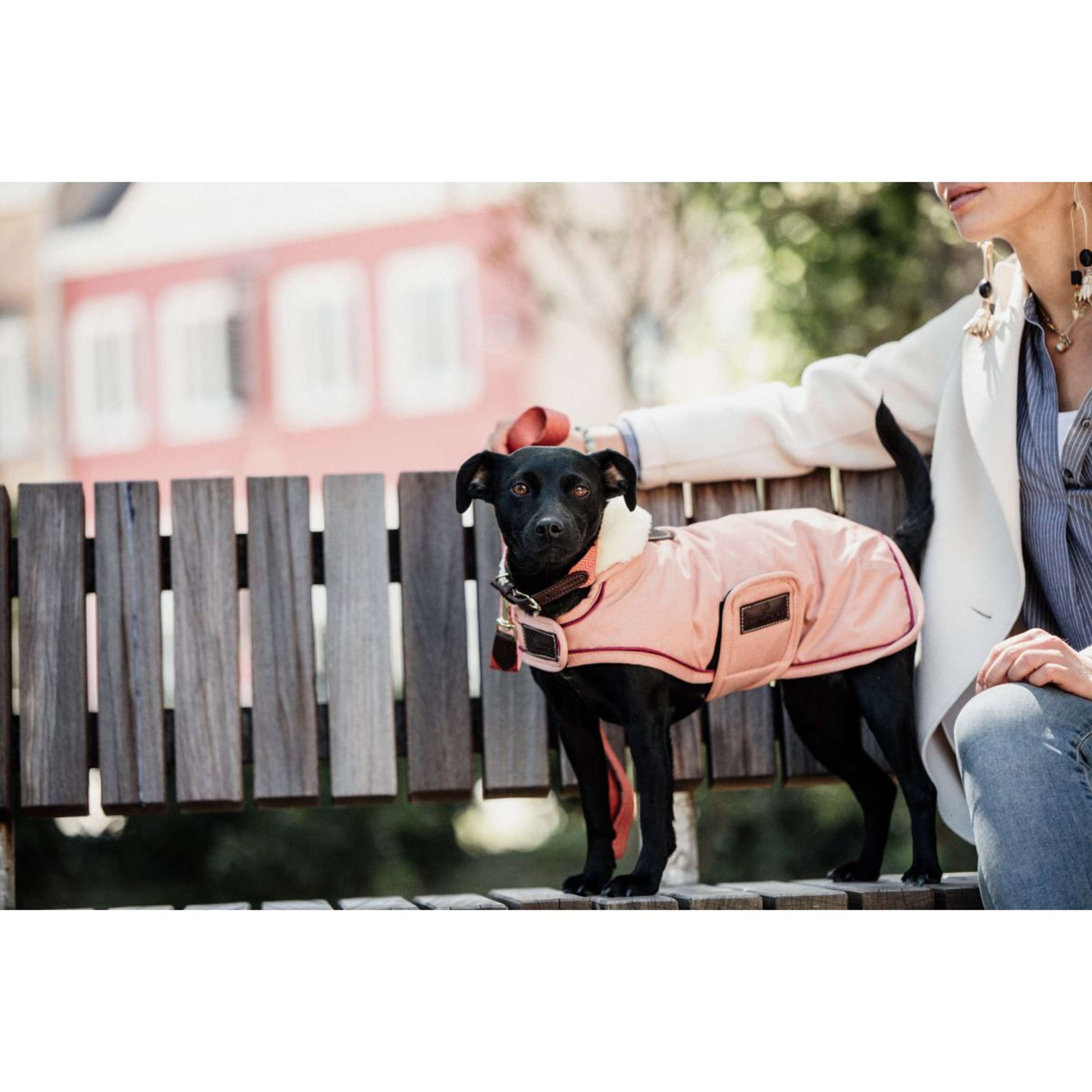 Kentucky Veste pour Chien Waterproof 160g Corail