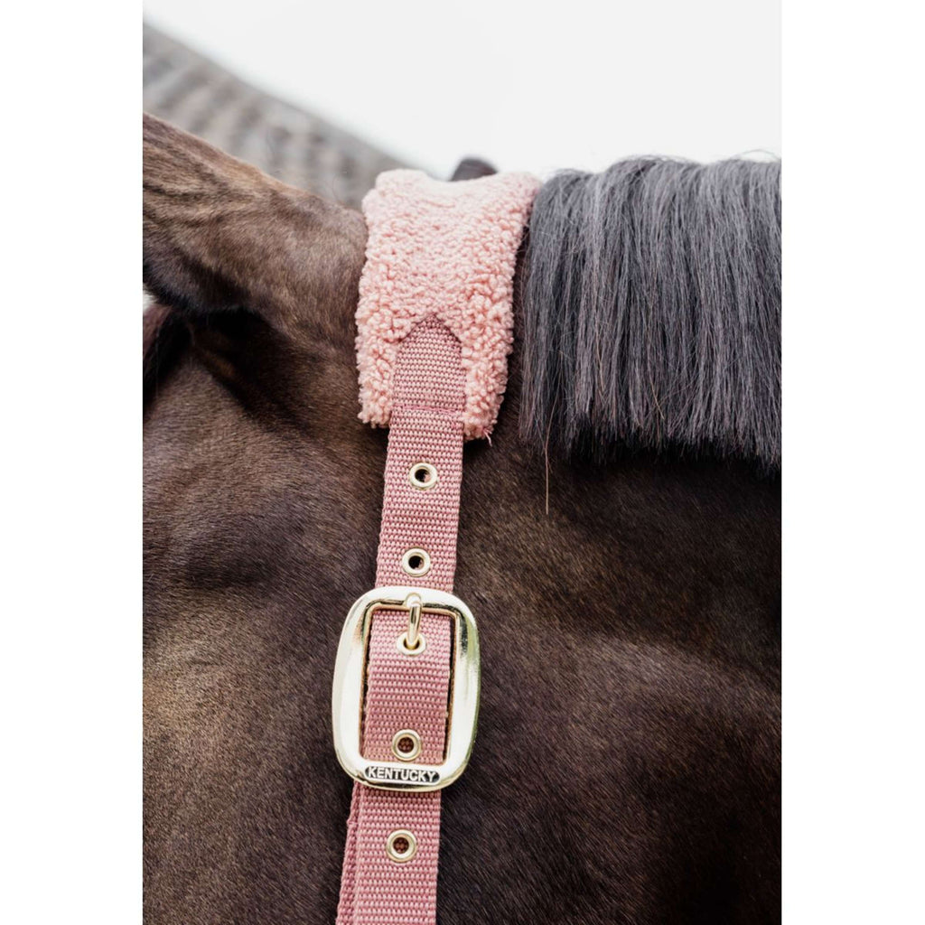 Kentucky Licol Teddy Fleece Rose Vieux