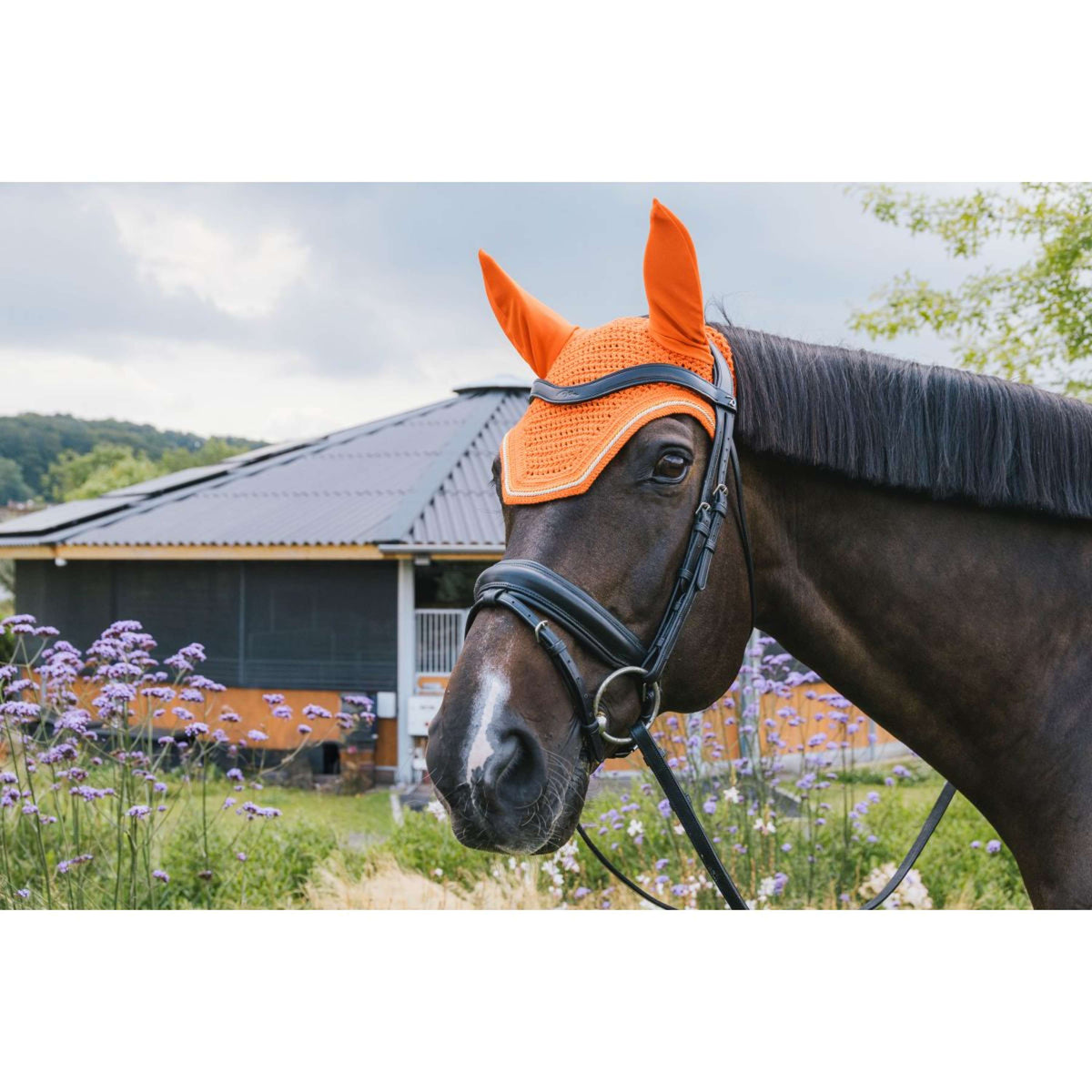 Kentucky Bonnet Anti-Mouches Wellington Cordon de diamant Orange