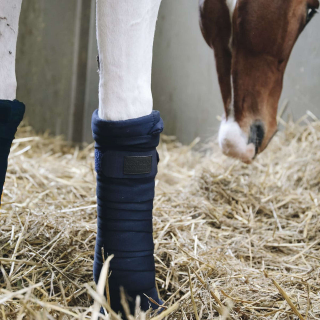 Kentucky Bandages Stable Marin