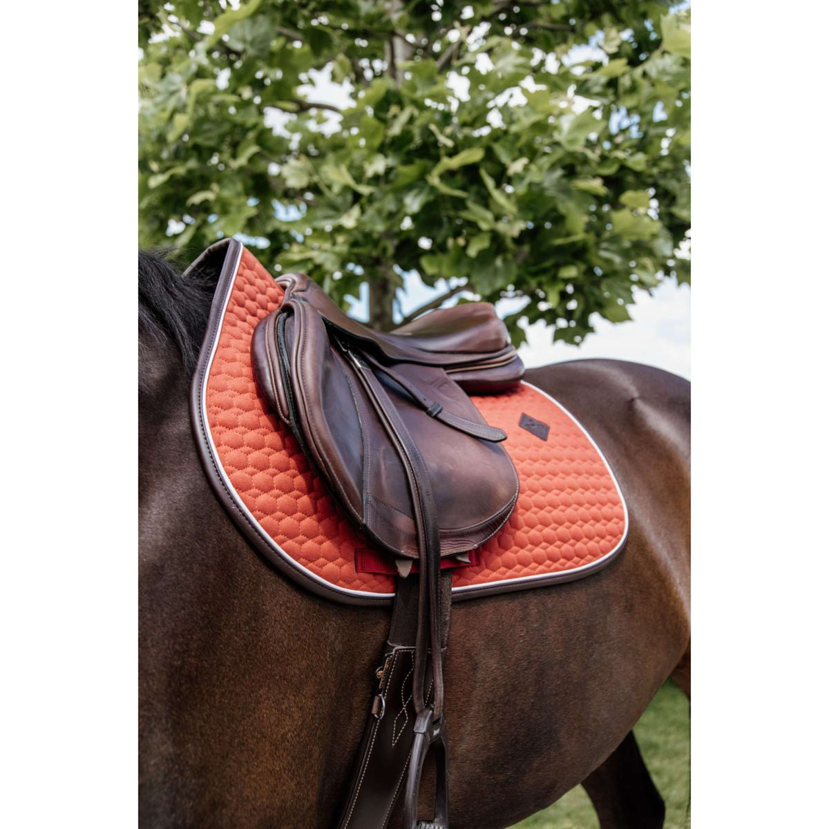 Kentucky Tapis de Selle de Saut Classic Cuir Orange