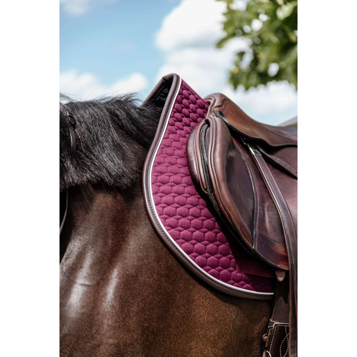 Kentucky Tapis de Selle de Saut Classic Cuir Bordeaux