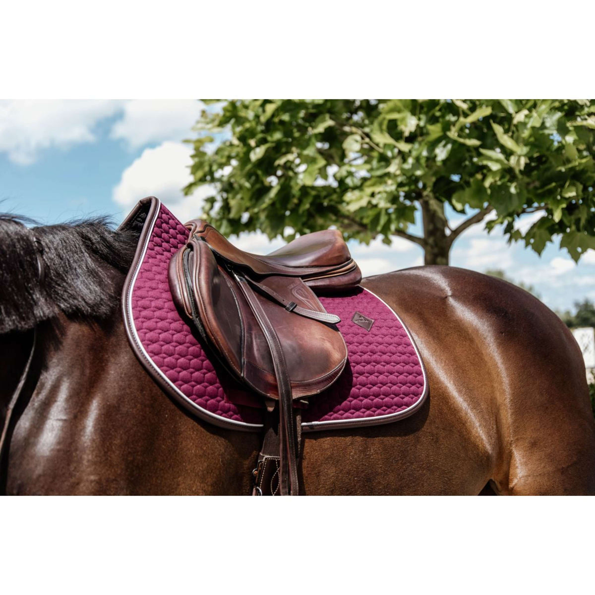 Kentucky Tapis de Selle de Saut Classic Cuir Bordeaux