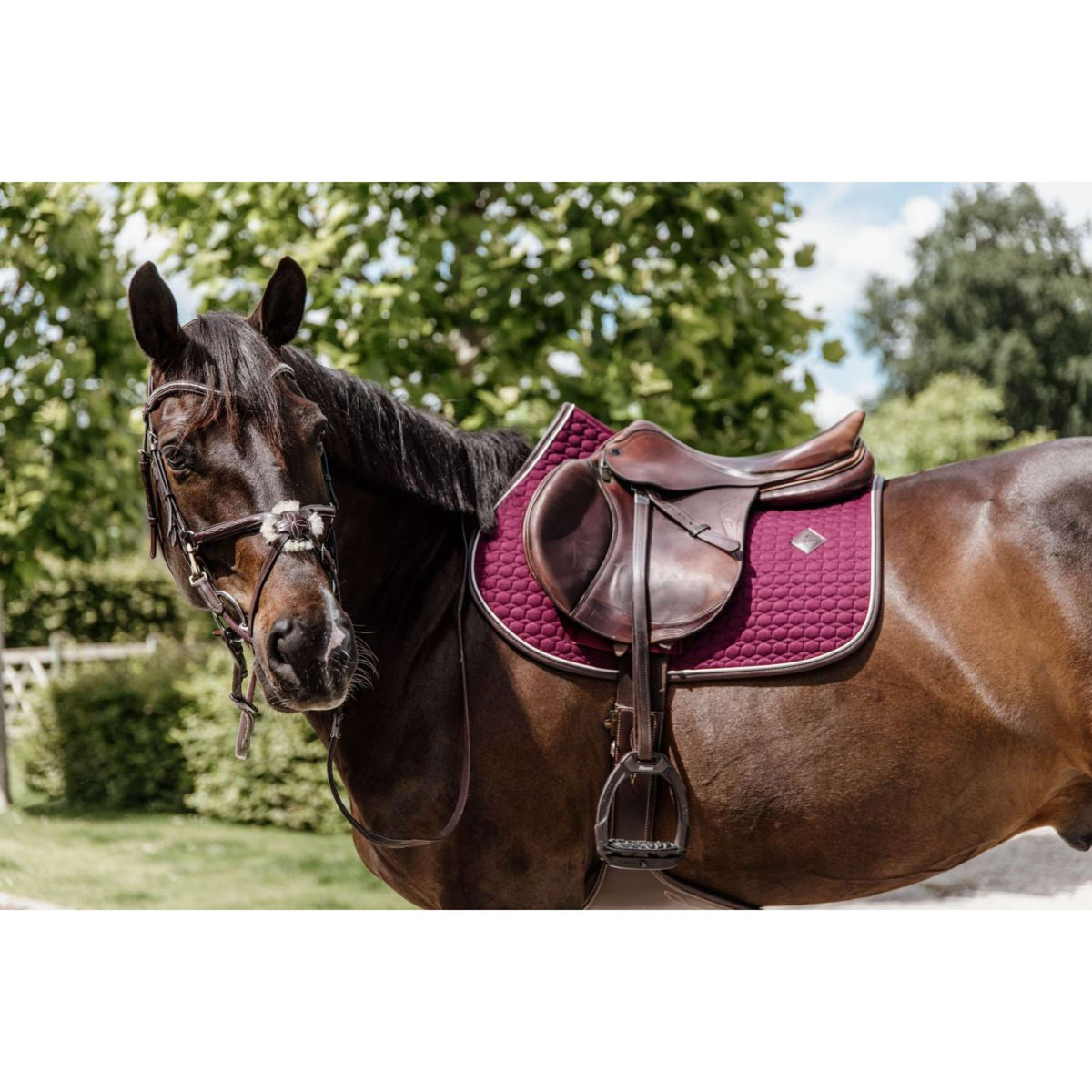 Kentucky Tapis de Selle de Saut Classic Cuir Bordeaux