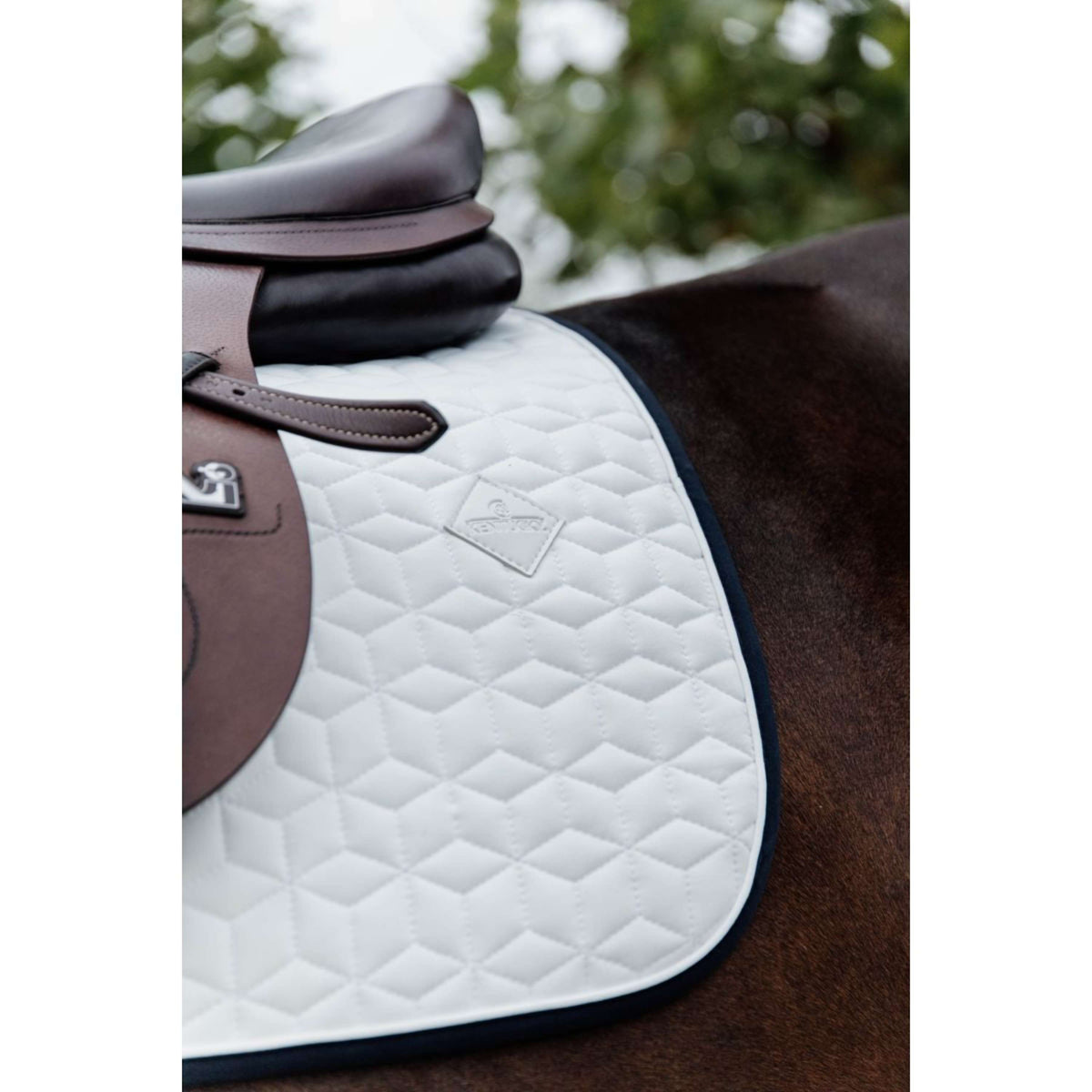 Kentucky Tapis de Selle Softshell de Saut Blanc