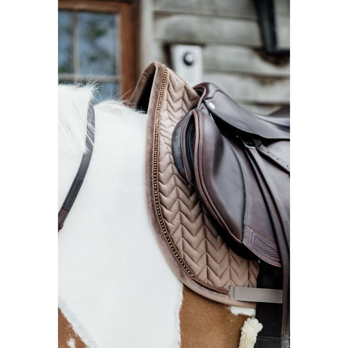 Tapis De Selle EQUIPAD Velours Contact étroit - Mousse à Mémoire De Forme - Taille Réelle - Beige