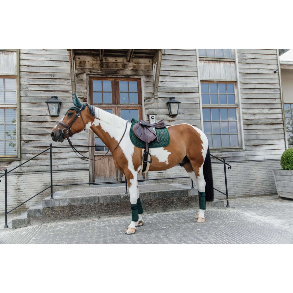 Kentucky Tapis de Selle velours Pearls de Saut Pine Green