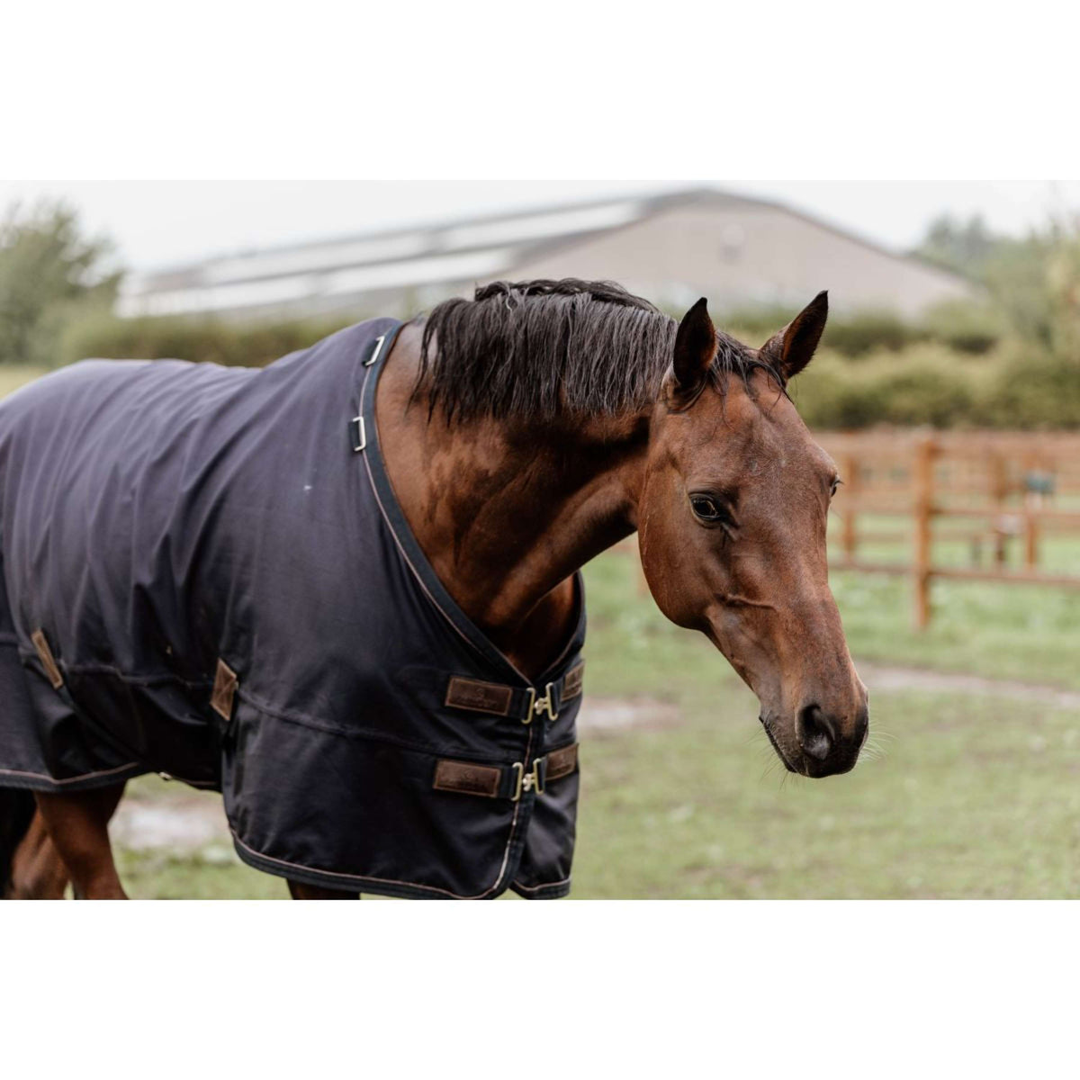 Kentucky Turnout Rug All Weather 0g Marin