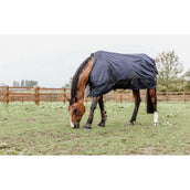 Kentucky Turnout Rug All Weather 0g Marin