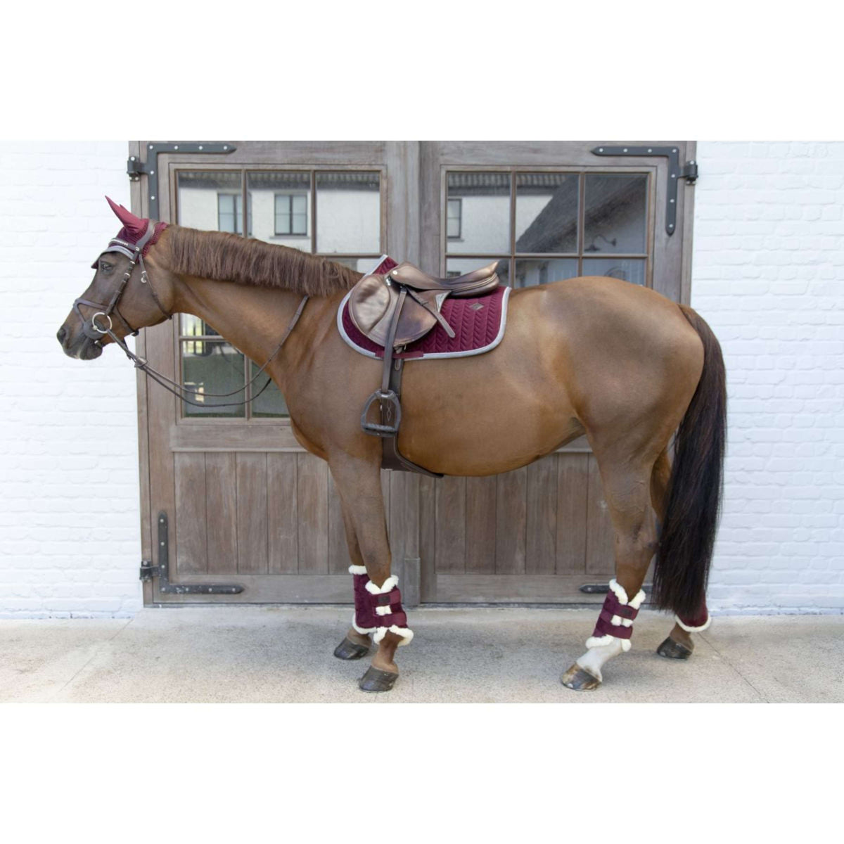 Kentucky Tapis de Selle de Saut Classic Contraste Bordeaux