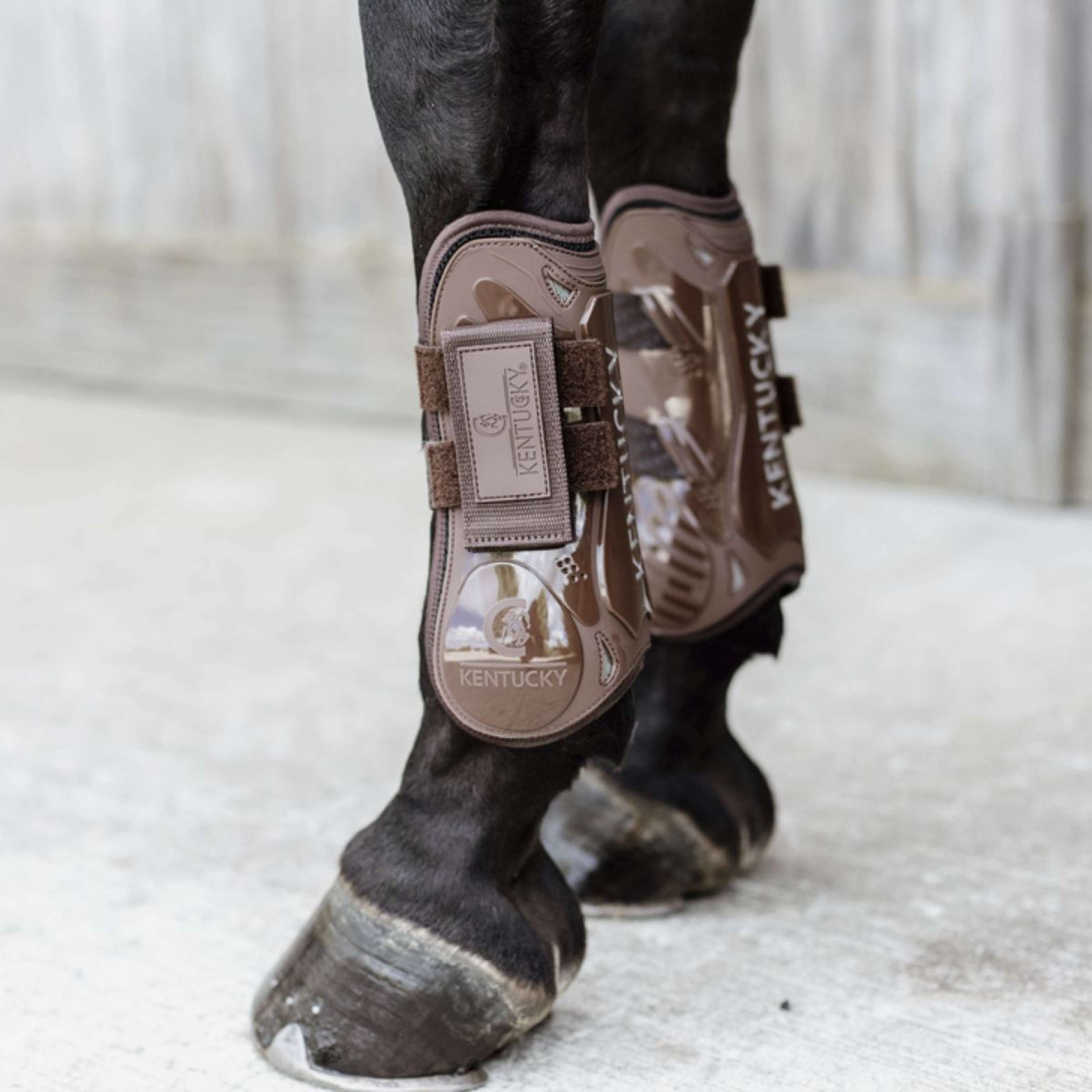Kentucky Horsewear Protèges-Tendons Velcro Marron