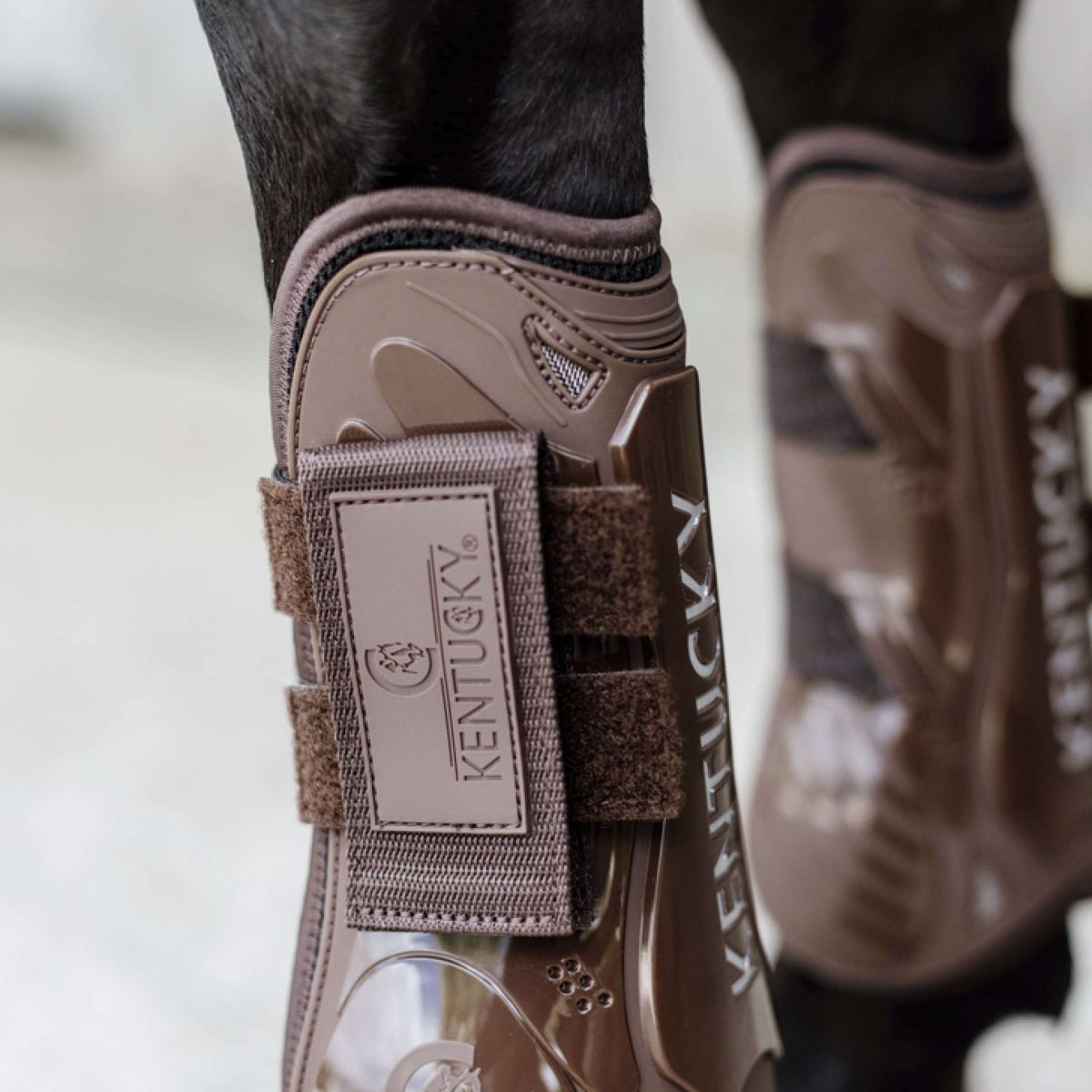 Kentucky Horsewear Protèges-Tendons Velcro Marron