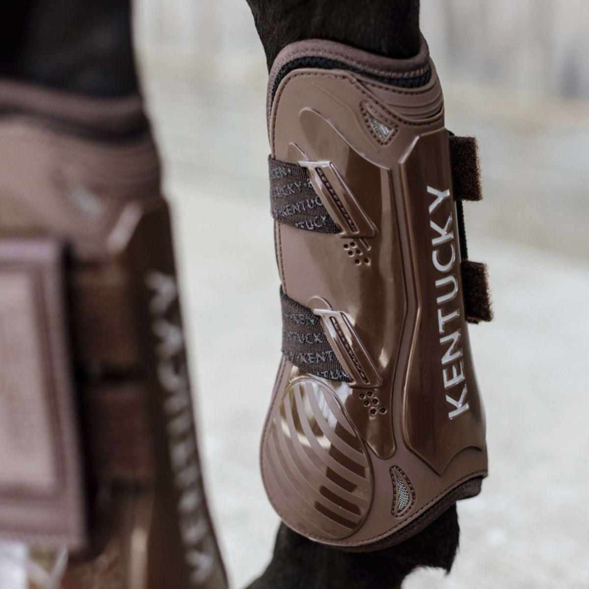 Kentucky Horsewear Protèges-Tendons Velcro Marron