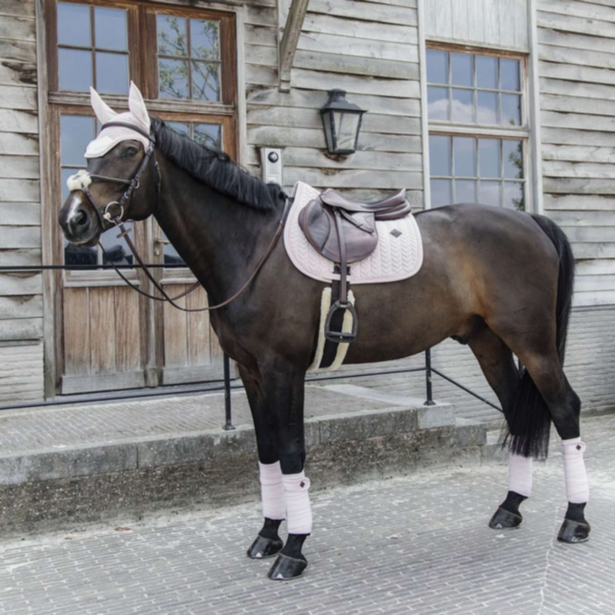 Kentucky Tapis de Selle velours Pearls Dressage Soft Rose