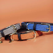 Kentucky Collier Plaited Nylon Bleu clair