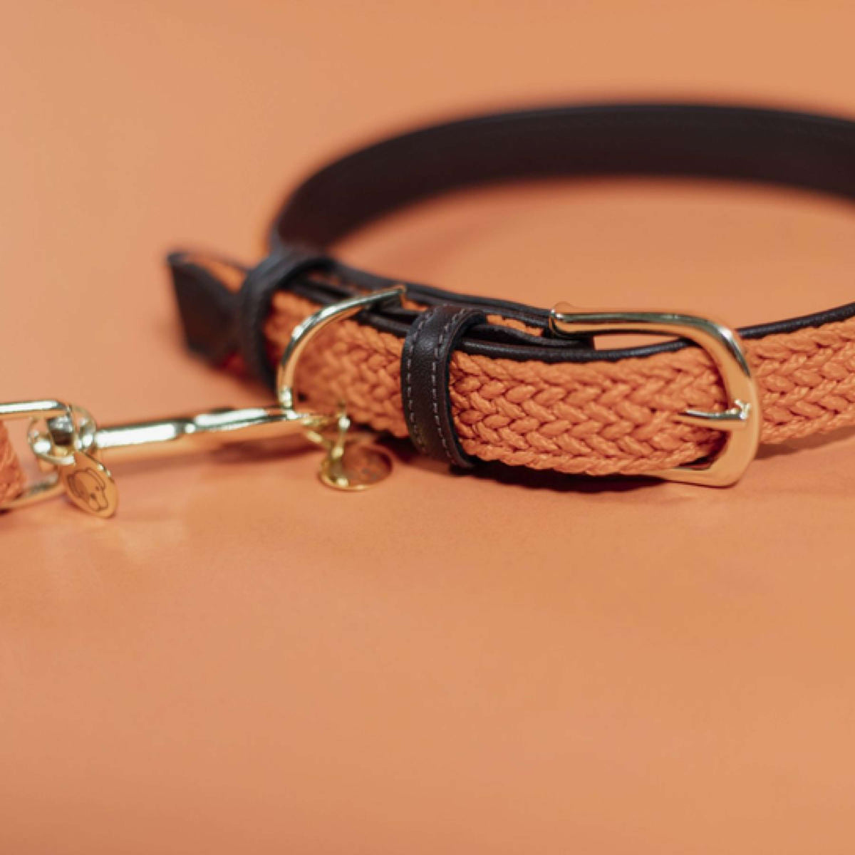 Kentucky Collier Plaited Nylon Orange