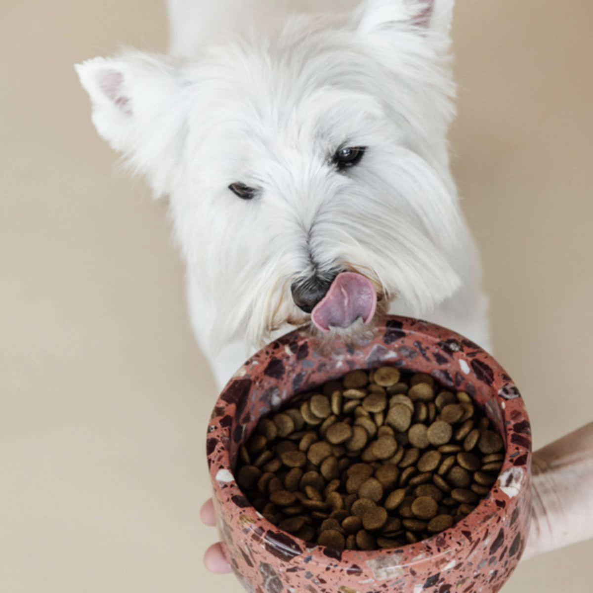 Kentucky Gamelle pour Chien Terrazzo Stone Marron